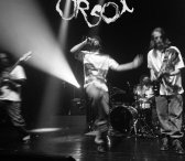 Orsol